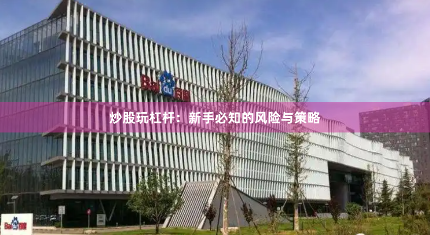 炒股玩杠杆：新手必知的风险与策略